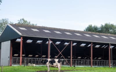 Barns