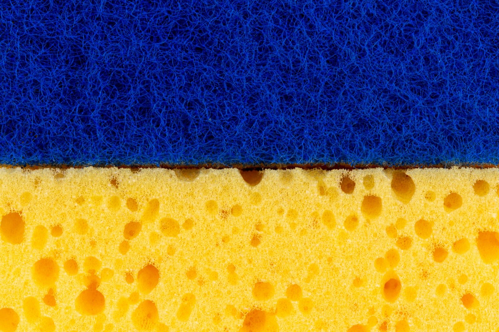 close up of a cleaning sponge
