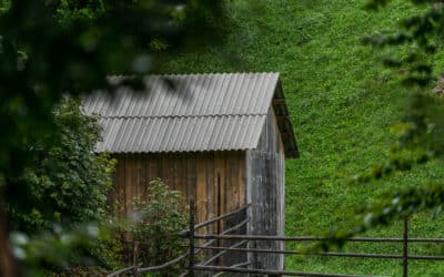 Metal Shed Roof Leaking? Common Causes and How to Fix Them