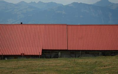Choosing a Roof Sheet Profile for Agricultural Buildings