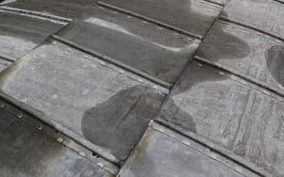 Metal Shed Roof Leaking: Causes and Fixes
